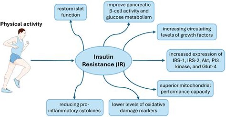 Why would insulin stop working?