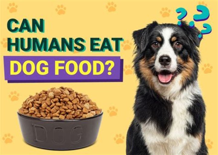 Will a dog eat a human?