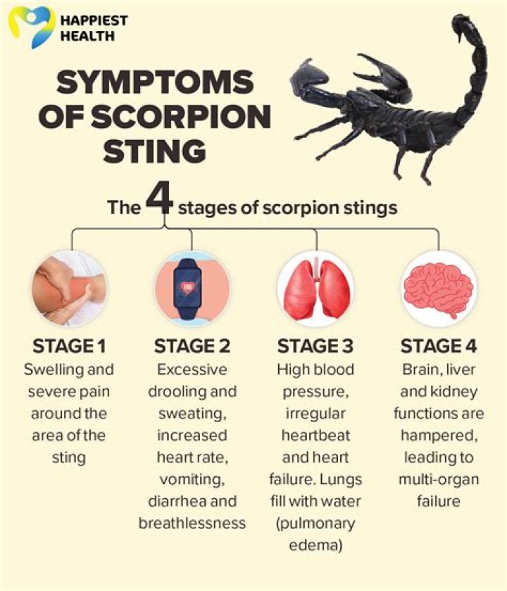 Will a scorpion crawl into my bed?
