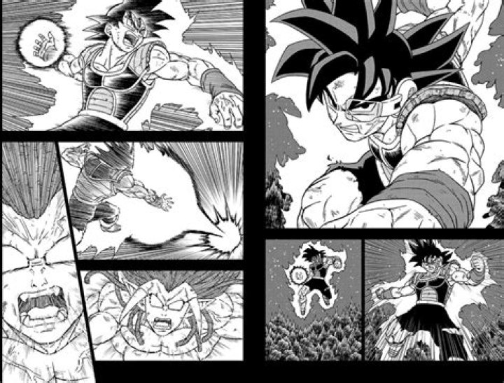 Will Bardock come back?