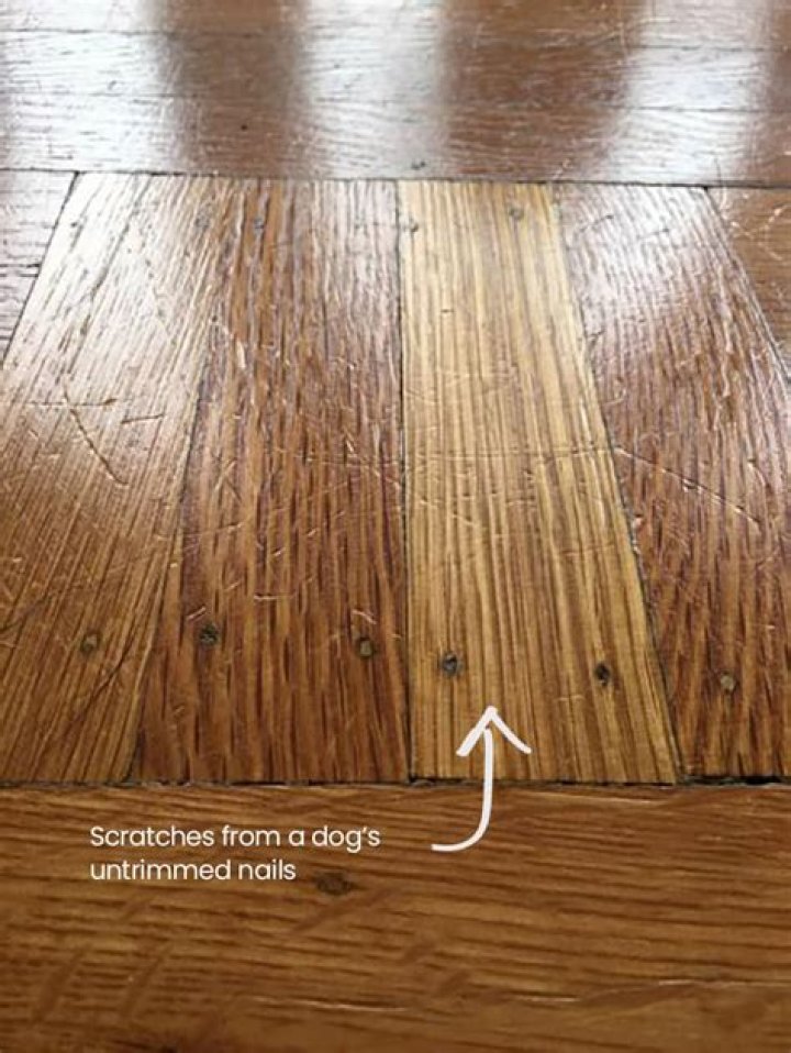Will dog nails scratch LVP flooring?