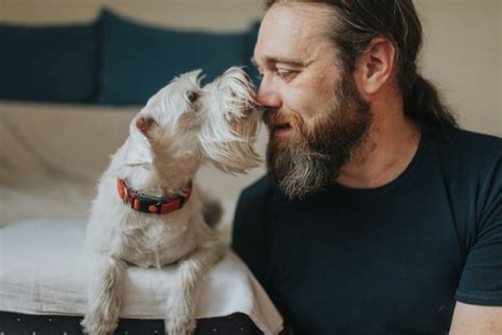 Will my dog feel replaced if I get another dog?