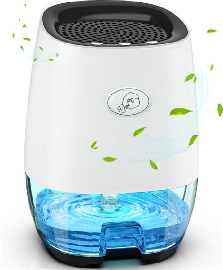 Would a dehumidifier help with asthma?